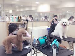 -多卡布奇宠物生活馆(上林世家店)