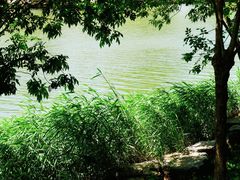 -马家湾湿地公园