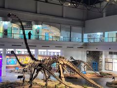 -自贡恐龙博物馆
