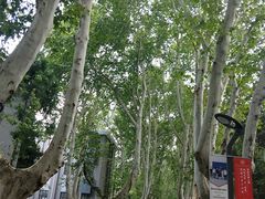 -南京航空航天大学(明故宫校区)