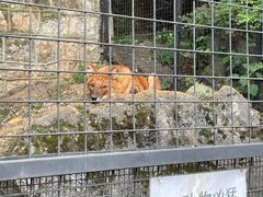 -昆明动物园