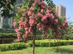 -西安汉城湖景区