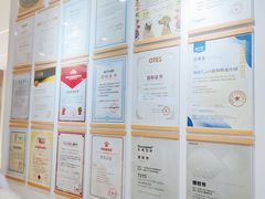 -翊宠yipet猫狗购宠庄园犬舍•猫舍