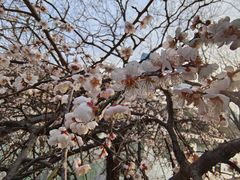-白塘生态植物园