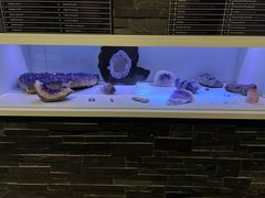 -奥古斯丁博物馆