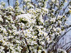 -广富林郊野公园