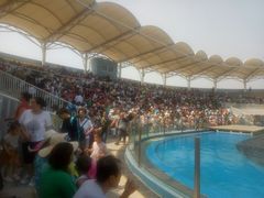 -北戴河圣蓝海洋公园