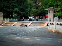 -潭柘寺景区