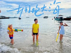 -广东惠东海龟国家级自然保护区