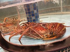 -怀德酒楼·粤菜·海鲜·茶点(宝安国际机场店)