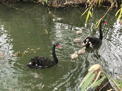 -长兴太湖图影湿地文化园