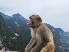 -重庆云阳龙缸景区