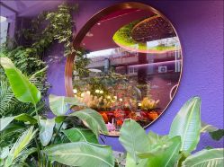 -花隐·美芙炫海菲秀皮肤管理中心