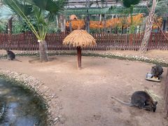 -呀路古热带植物园