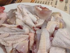 -南海鸽天下(肇庆店)