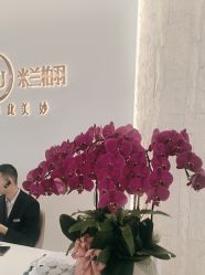 -杭州米兰柏羽医疗美容医院