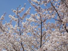 -苏州上方山国家森林公园