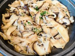 蘑菇-胜博殿日式炸猪排(西红门店)