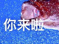 -囍凤楼·粤菜·点心·火锅(温特莱店)