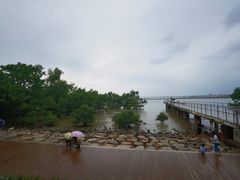 -宝安西湾红树林湿地公园