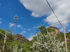 -大岭沟猕猴桃谷风景区