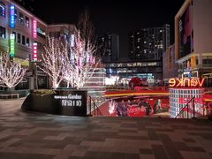 -巴依老爷新疆美食(望京小街店)