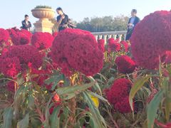 -东莞植物园