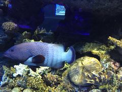 -成都浩海立方海洋公园