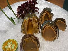 手工冰镇鲍鱼-木棉·醉心粤味(COCO Park店)