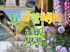 -五道营胡同