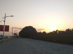 -大湾区中央湿地公园-十九涌