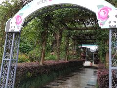 餐饮设施-成都大熊猫繁育研究基地