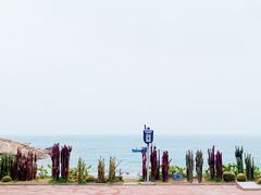 -广东惠东海龟国家级自然保护区