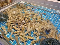 -集品鲜湾·蒸汽海鲜自助料理(青岛银座和谐广场店)