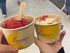 柠檬椰奶椰子脆片-Luneurs(幸福里店)