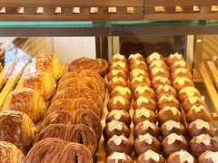 -WHEN PIGS FLY当猪飞