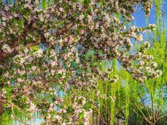 -元大都城垣遗址公园