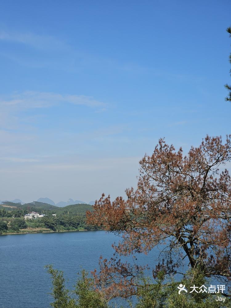 太美了谁能懂柳州小众临江露营地