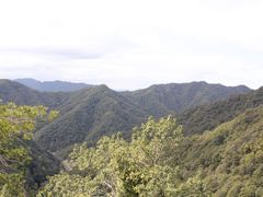 -十里琅珰