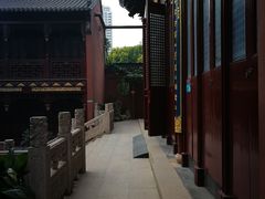 -上海白云观