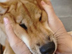 -BE NORMAL CAFE(霞溪路店)