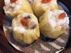 -添运来(茶园奥园广场店)