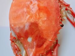 -大锅强·蒸海鲜青岛菜(金沙滩店)
