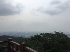 -杭州半山国家森林公园