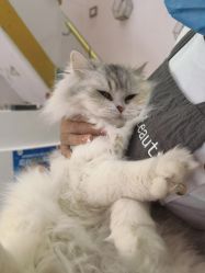 -Beauty Nails 美甲美睫皮肤管理