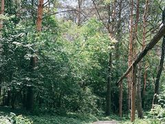-黑龙江省森林植物园