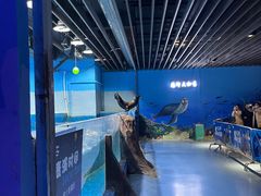 -沙沙哗啦海洋馆(华宇百花谷店)