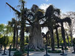 -石家庄市植物园