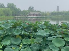 -西海子公园