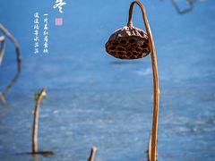 -朝阳公园